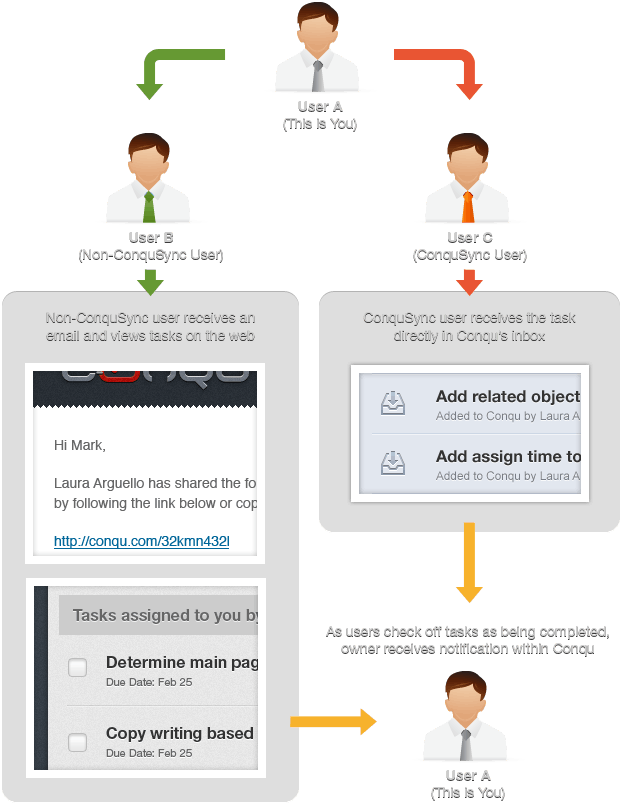 Data Backups